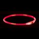 Ошейник для собак Trixie Flash Light Ring USB 40 см Red (12662) Ошейник для собак Trixie Flash Light Ring USB 40 см Red (12662)