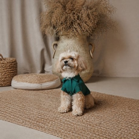 Рубашка Pet Fashion Seaman для собак М Green (PR244628)