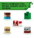 Конструктор LEGO Minecraft Мінібіоми (21589)