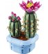Конструктор LEGO Botanicals Цветение кактуса (11509)