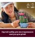 Конструктор LEGO Botanicals Цвітіння кактуса (11509)