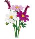 Конструктор LEGO Botanicals Квіти космеї (11514)