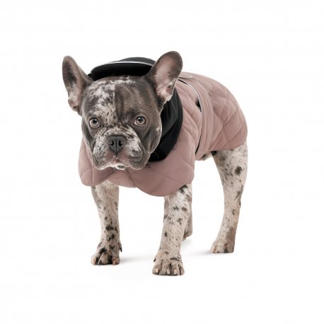 Попона для собак Pet Fashion Max S2 Beige (PR243970)