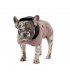 Попона для собак Pet Fashion Max S2 Beige (PR243970)