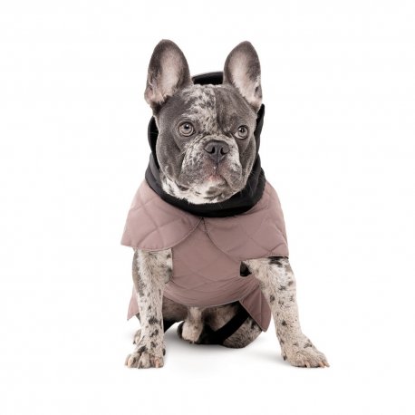 Попона для собак Pet Fashion Max S2 Beige (PR243970)