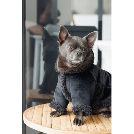 Дубленка Pet Fashion ХS Black (PR243524*****)