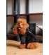 Дубленка Pet Fashion ХS Black (PR243524*****)