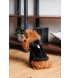Дубленка Pet Fashion ХS Black (PR243524*****)