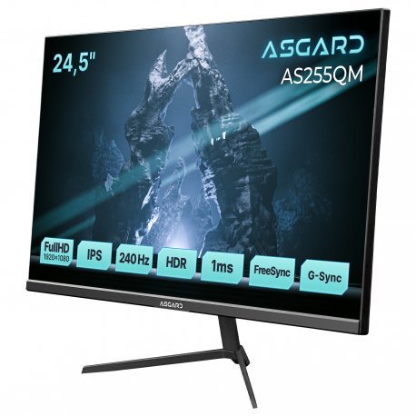 Монитор ASGARD Gaming 24.5" AS255QM IPS Black 240Hz