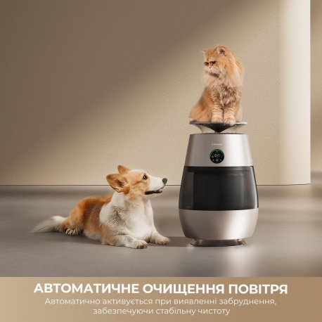 Воздухоочиститель Dreame AP10 (CVF61A)