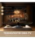 Телевізор Dreame Vivid QLED 4K TV (55Q100)