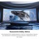 Телевизор TCL 43" UHD LED TV (43P735)
