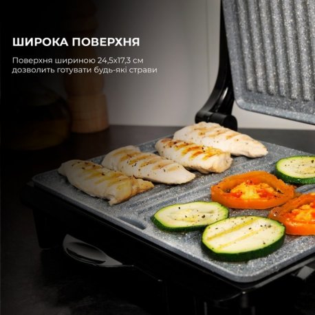 Гриль Cecotec Rock`nGrill 1500 Rapid (CCTC-03065)