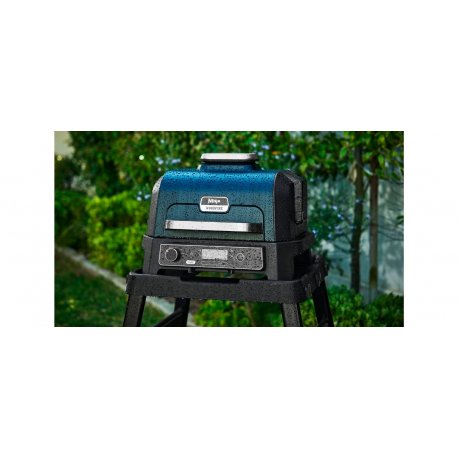 Гриль-барбекю Ninja Woodfire Pro XL (OG850EU)