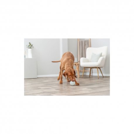 Іграшка для собак Trixie М'яч для ласощів (34942)