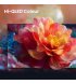 Телевизор Hisense 4K UHD 50" (50E7S)