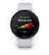 Смарт-часы Garmin Forerunner 70 Whitestone (010-04307-01)