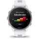 Смарт-часы Garmin Forerunner 170 GPS Whitestone/Cloud Blue (010-03920-01) Смарт-часы Garmin Forerunner 170 GPS Whitestone/Cloud Blue (010-03920-01)