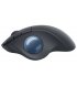 Мышь беспроводная Logitech Ergo M575 Graphite (L910-006221)