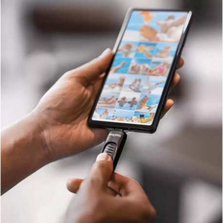 Флеш накопитель USB SanDisk 32GB USB-C (SDCZ480-032G-G46)