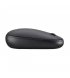 Мышь беспроводная Acer Bubble Black (GP.MCE11.034)