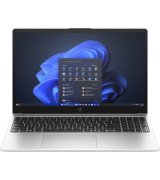 Ноутбук HP 255R G10 Silver (CA0S4AT)