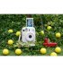 Фотокамера миттєвого друку Instax Mini 13 White (16963230)