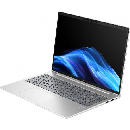 Ноутбук HP ProBook 4 G1a 16" Silver (AX7D3AV_V9)