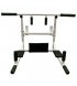 Турник настенный Newt Iron 4 в 1 White (NE-TR-4W)