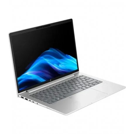Ноутбук HP ProBook 4 G1i 14 (D0VG6ET)