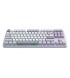 Клавиатура Dark Project ALU87 Daylight White/Grey (DPKB_DAYLIGHT_87_ANSI_UA)