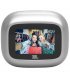 Бездротові навушники JBL Live Flex 4 Silver (JBLLIVEFLEX4SIL)