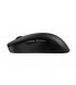 Бездротова миша ігрова Zowie U2‑DW Black (9H.N4PBE.A2E)