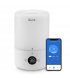 Увлажнитель воздуха Levoit Smart Humidifier Dual 200S (HEAPHULVSEU0035A)
