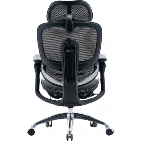 Офисное кресло Sihoo C300 PRO V2 Black (C300-PRO-V2-B101)