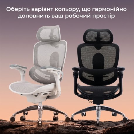 Офісне крісло Sihoo C300 PRO V2 Black (C300-PRO-V2-B101)
