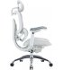 Офісне крісло Sihoo C300 PRO V2 White (C300-PRO-V2-B102)