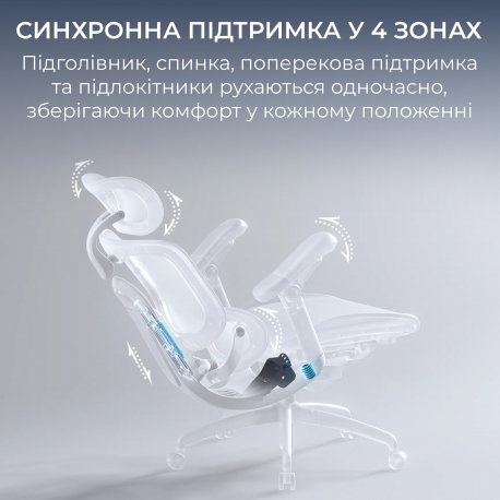 Офісне крісло Sihoo C300 Lite V2 Black (C300-LITE-V2-B101)