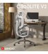 Офісне крісло Sihoo C300 Lite V2 Black (C300-LITE-V2-B101)