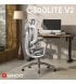 Офисное кресло Sihoo C300 Lite V2 Black (C300-LITE-V2-B101)