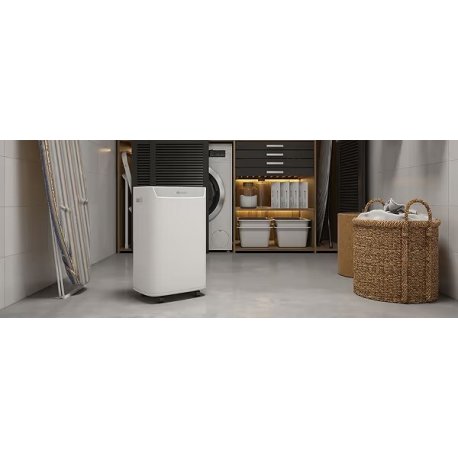 Осушитель воздуха Olimpia Splendid AQUARIA S1 10 P (OS-2060)