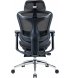 Офісне крісло Sihoo DORO C300 Pro Mesh White (DORO-C300-PRO-M102-JT)