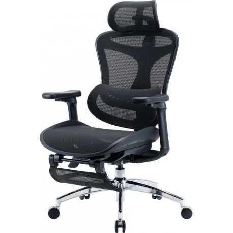 Офісне крісло Sihoo DORO C300 Pro Mesh White (DORO-C300-PRO-M102-JT)
