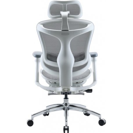 Офісне крісло Sihoo DORO C300L Mesh Black (DORO-C300L-A3-101-JT)