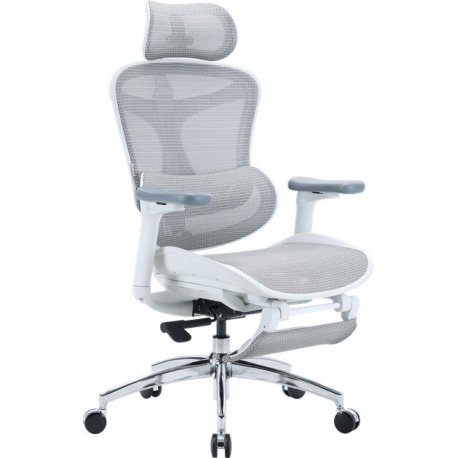 Офісне крісло Sihoo DORO C300L Mesh Black (DORO-C300L-A3-101-JT)