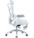 Офісне крісло Sihoo DORO C300L Mesh Black (DORO-C300L-A3-101-JT)