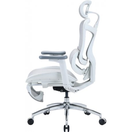 Офісне крісло Sihoo DORO C300L Mesh Black (DORO-C300L-A3-101-JT)