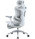 Офісне крісло Sihoo DORO C300L Mesh Black (DORO-C300L-A3-101-JT)