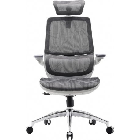 Офисное кресло Sihoo M59AS Mesh Gray (M59AS-M301)