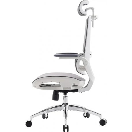 Офісне крісло Sihoo M59AS Mesh Gray (M59AS-M301)